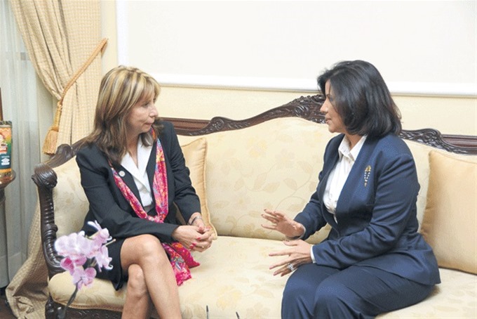Vice trata con la OEA los programas sociales(12 de julio de 2013)